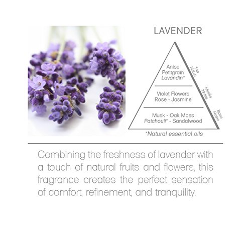 Difusor Acqua Aroma Lavanda 240 ml miniatura 6