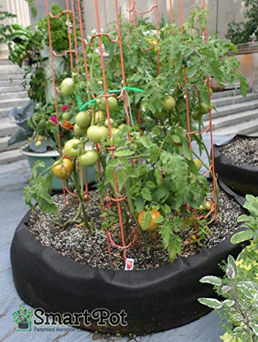 Smart Pots 12100 Big Bag Bed Fabric Raised Bed, Black