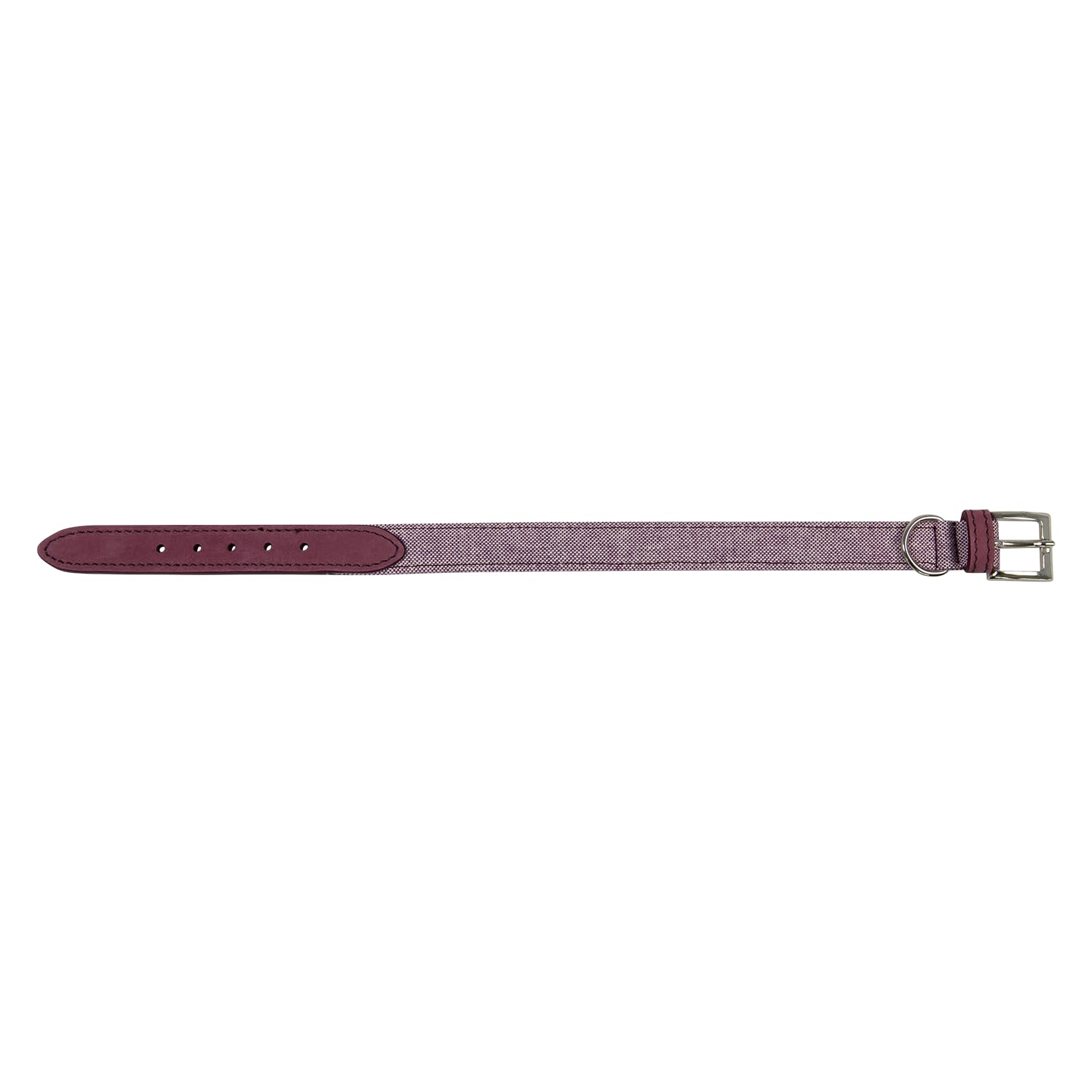 Collier pour chien Quebec Jack and Vanilla pourpre 20mm x 50cm