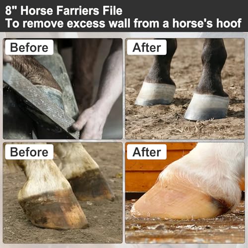 Image of Yosoo Health Gear Horseshoe Trimming Tool 8 Inch Hoof Rasp, Solid Carbon Steel Horseshoe File with Rubber Handle, Double Sided Hoof Rasp Farrier File Tool for Horse Goat Cow Donkey