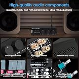 Douk Audio 300Wx2 wzmacniacz HiFi: TPA3255 wzmacniacz mocy, odbiornik Bluetooth, domowy stereo, wzmacniacz U-Disk Player (M1 MAX)