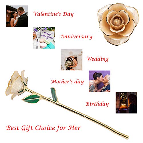 Image of 24K Gold Dipped Rose, Gold Dipped Rose Made from Real Rose Best Gifts for her and Great Gifts for My Love, Ivory with Stand
