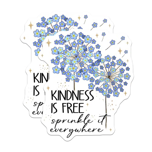 Imanes Kindness is Free Pack x2 5 pulgadas