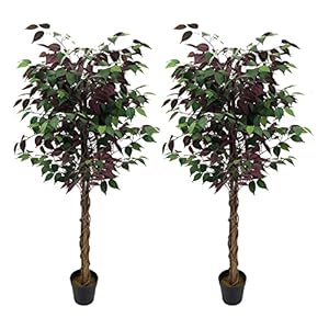 AMERIQUE Pair Gorgeous 5 Feet Burgu...