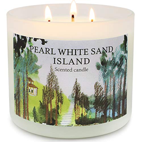 Velas Perfumadas con 3 Mechas, Velas Aromáticas de Tarro Grande 14oz, Cera de Soja con Aceites Esenciales, Jazmín y Sándalo para el Hogar Fragancia, Juego de Regalo para Mujeres, Hasta 75 Horas Cover