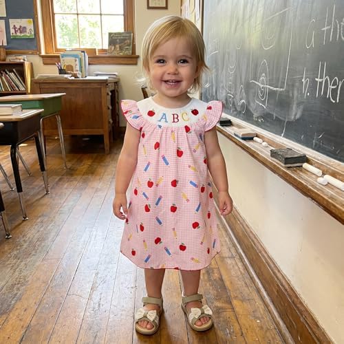 Toddler Girls Back to School Outfit ABC Apple Embroidery Pencil Flying Sleeve Smocked A Line Dress Kids Gingham Dress — 사진 4