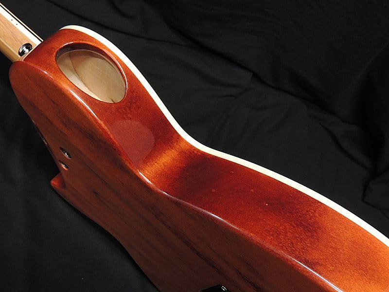 Amazon | ARIA APE-100 TS 薄胴 エレアコ エレクトリック