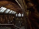 Inside the Natural History Museum, London