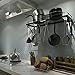 ZESPROKA FBA_JW-SL5E-AJVR Kitchen Wall Pot Pan Rack,with 10 Hooks,Black