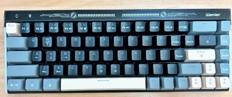 VK68 メカニカルキーボード、68キーコンパクトUSB、65％カスタムLEDバックライト、ホットスワップ対応、小型ミニコンピューターゲーミング有線メカニカルキーボード、PCゲーマー用、Windows・Mac対応