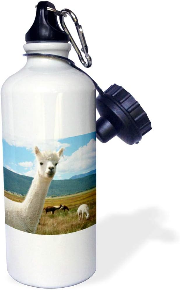 3dRose Victory Ranch Alpaca Farm, Mora, New Mexico-Us32 Jmr0359-Julien Mcroberts Sports Water Bottle, 21 oz, White
