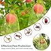 NIUBIER 50 Pcs Fruit Protection Bags, 6×9 Inches Green Fruit Nets for Fruit Tree, Drawstring Mesh Cover Bags to Protect Vegetables Tomato Strawberry Garden