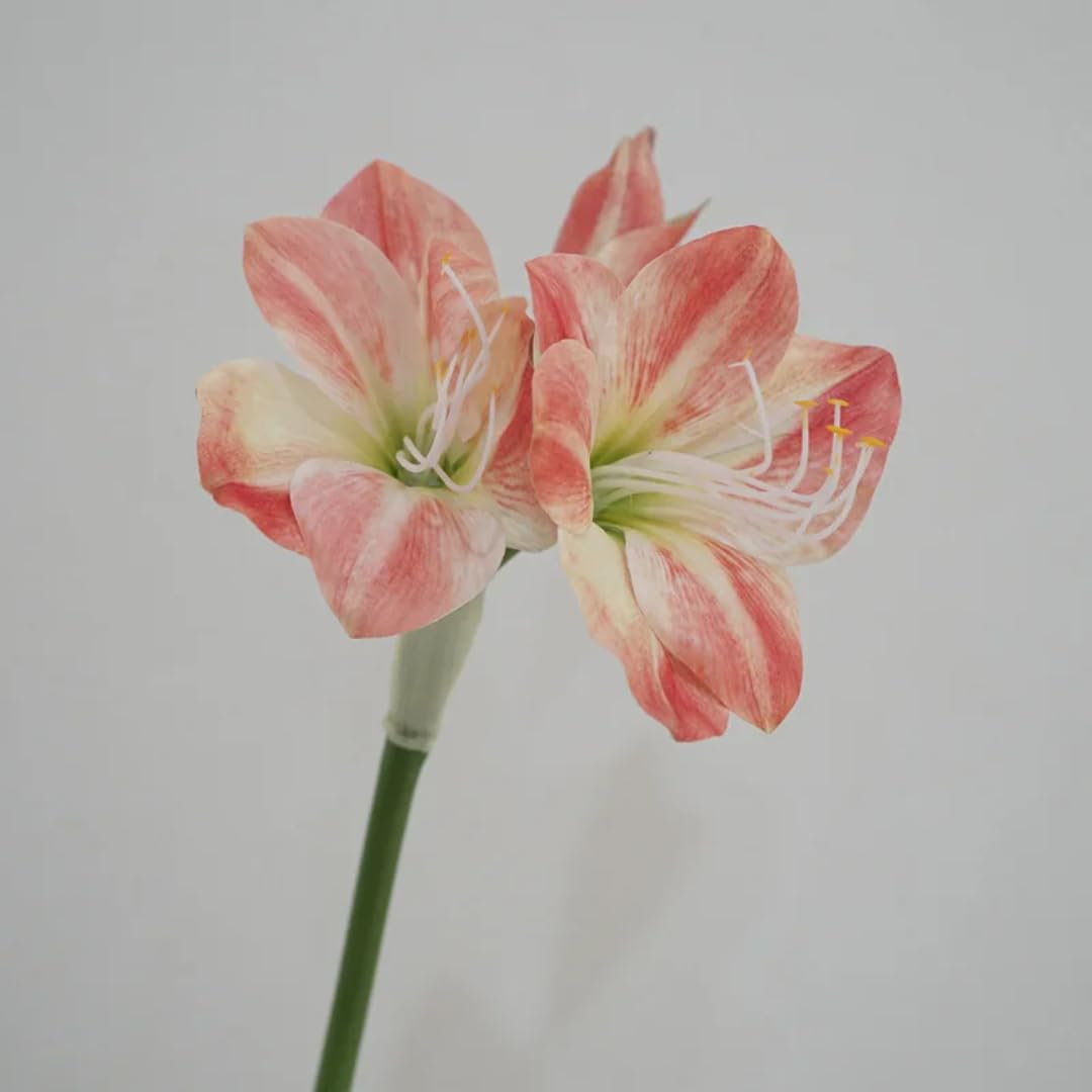 Orchidée artificielle Clivia haut de gamme au toucher réaliste couleur rose