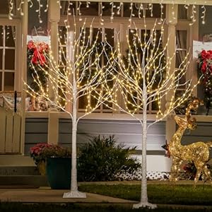 Lightshare Lighted Birch Twig Tree with Fairy Lights 2 Sets 6FT 642 LED Lights for Indoor Outdoor Home Christmas Holiday Decoration Lightshare Lighted Birch Twig Tree with Fairy Lights 2 Sets 6FT 642 LED Lights for Indoor Outdoor Home Christmas Holiday Decoration