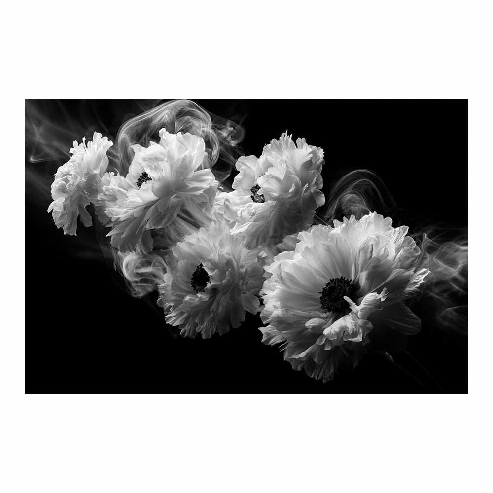 HOQIU Black And White Pictures Smoke Whites Poppy Wall canvas wall art, painting and decor, for Living Room Bedroom Home Decoration(Multicolor)-60x80cm Unframed