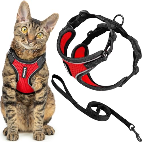 Image of Voyager Escape-Proof Step-in Lock Cat Harness & 5ft Neoprene-Handle Leash Set All-Weather Mesh with Reflective Stitching for Small to Large Cats by Best Pet Supplies, Black Trim-Red (327), XXS