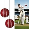 3 Pcs Cricket Hanging Ball PU Cricket Practice Ball with Cord for Outdoor Indoor Practice Hand Eye Coordination Easy to Hang Enhances Batting Skills Family Fun Honing Skills