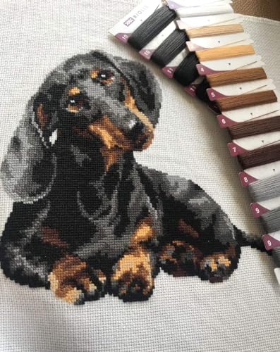Image of RIOLIS - Dachshund 906, Dogs Cross Stitch Kits 9,84 inch x 9,84 inch, Counted Cross Stitch Kits, Counted Cross Stitch Kits for Beginners & Advanced, Cross Stitching Kits for Adults, Dog Embroidery Kit