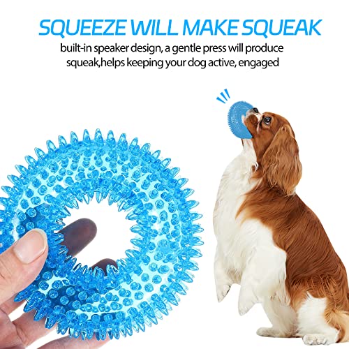 BLMHTWO 2PCS Dog Spiky Toy - Image 4