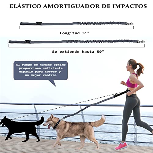 La mejor comparación de Correas para perros , listamos los 10 mejores. 29 La mejor comparación de Correas para perros , listamos los 10 mejores. 17
