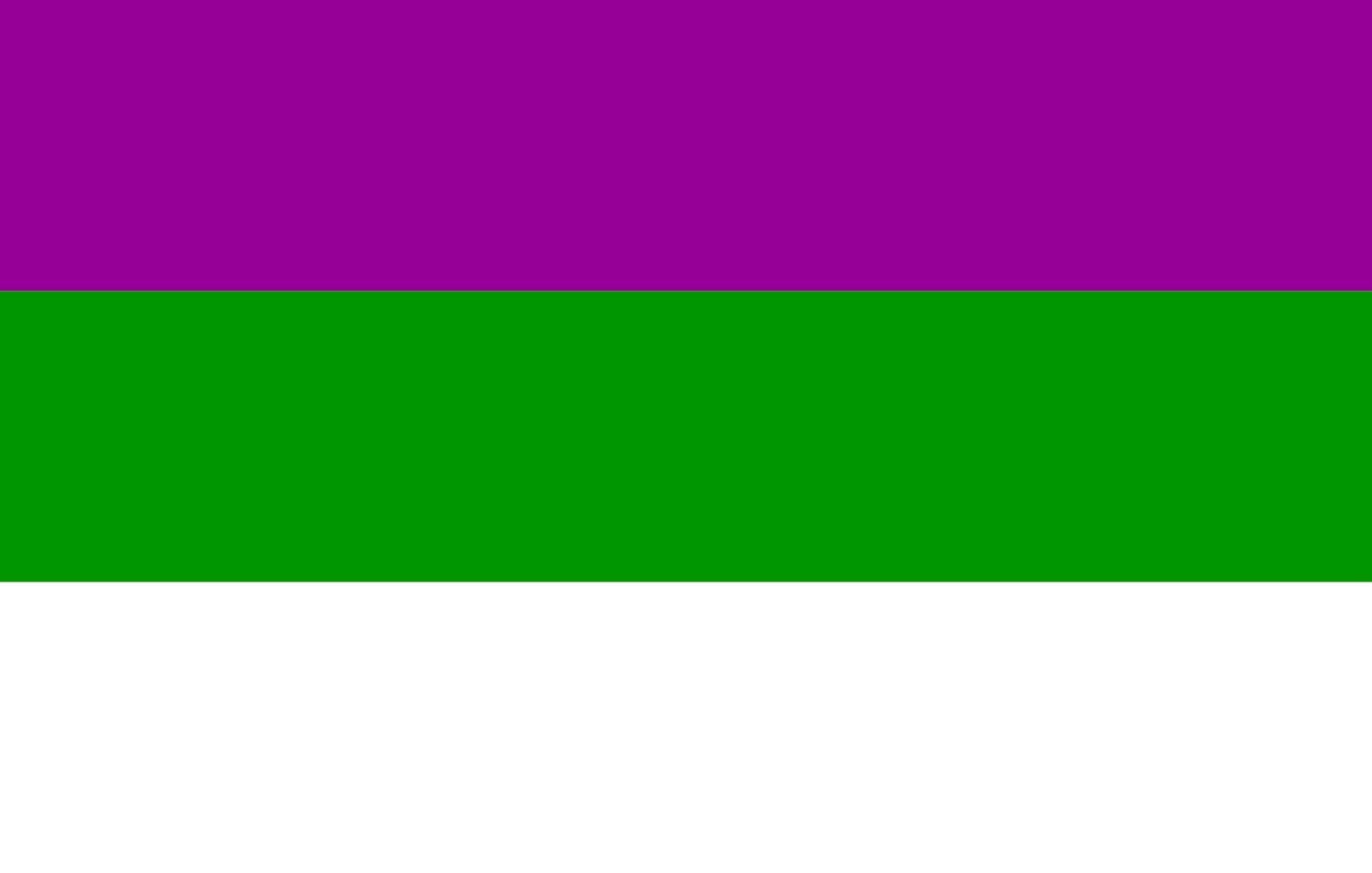 Drapeau Liviensise grand format paysage 1.35m² de qualité supérieure