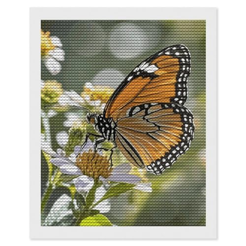 Peinture diamant papillon orange 5D foret rond anti-stress FodPand