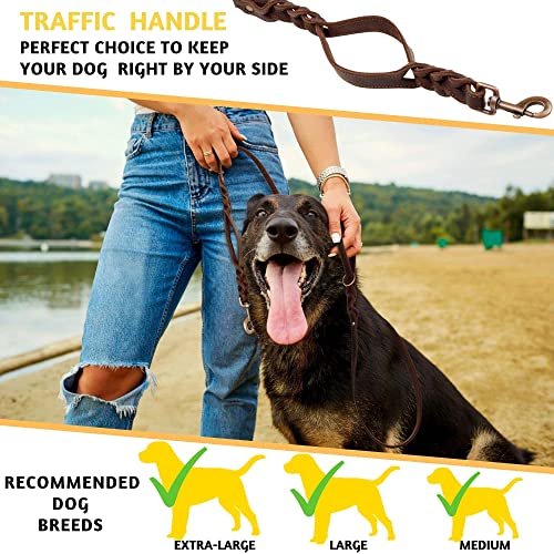 Adityna Double Handle Leather Dog Leash 6Ft X 3/4" - Heavy Duty Braided Dog Leash With Traffic Handle - Dog Lead For Training And Walking Large And Medium Dog Breeds (Brown, Two Handles 6 Foot X 3/4") #TOP6