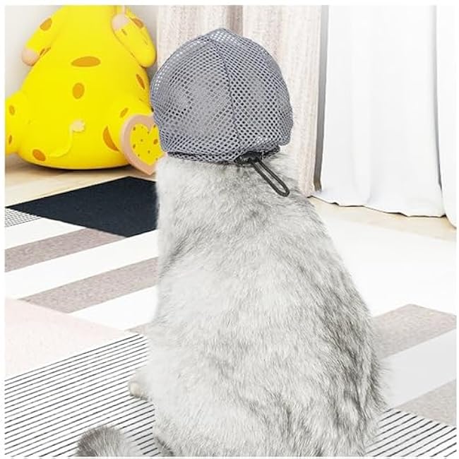 Cat Muzzle for Grooming, Adjustable Transparent Anti-Bite Cat Mask for Nail Clipping (Grey S)-TFqA77pB