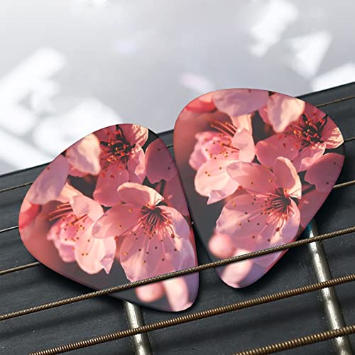 Médiators en celluloïd coloré pour guitare basse, amateurs de musique, guitares, électriques et acoustiques avec fleurs roses de 0,46 mm, 0,71 mm, 0,96 mm - Les Beatles, Paul McCartney, John Lennon, RIngo Starr, George Harrison Médiators en celluloïd coloré pour guitare basse, amateurs de musique, guitares, électriques et acoustiques avec fleurs roses de 0,46 mm, 0,71 mm, 0,96 mm – Image 8