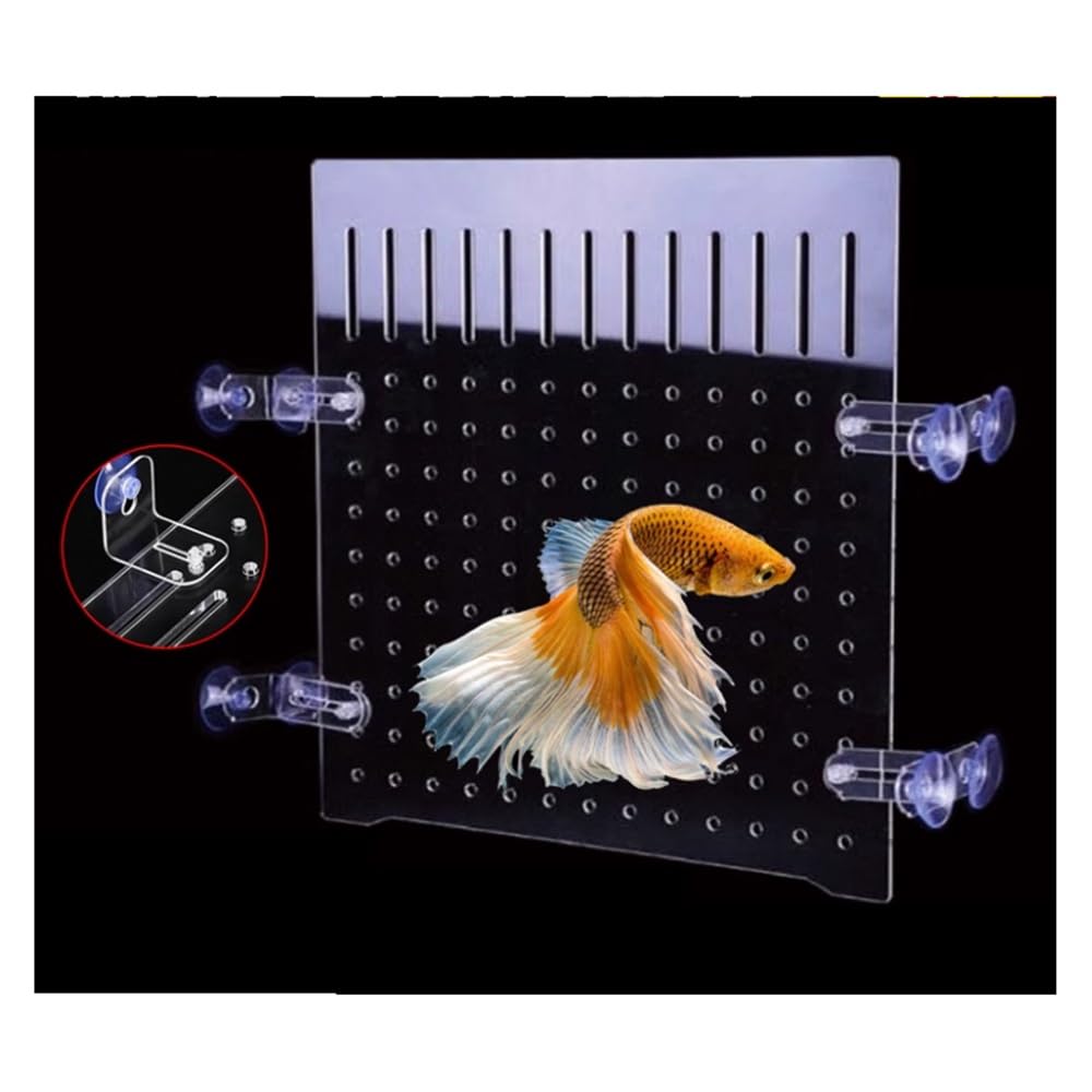 IBOWZ Akwarium Fish Tank Przegroda Płyta Izolacyjna Fish Tank Wysoka Przezroczystość Materiał Akrylowy Mały Otwór Siatka Separator Płyta Rozdzielająca Płyta Zapobiegaj Atakom Ryb Nawzajem Wyślij
