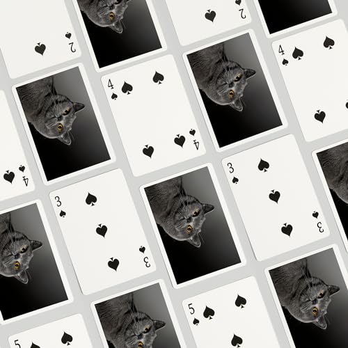 Mazo de cartas Poker British Shorthair Cat 52 piezas miniatura 4