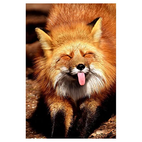 Kinderkamer Decor Foto Dier Canvas Schilderijen Muur Kunst Leuke Vos Posters en Prints Decoratie voor Thuis 60x90cm|23… - Image 7