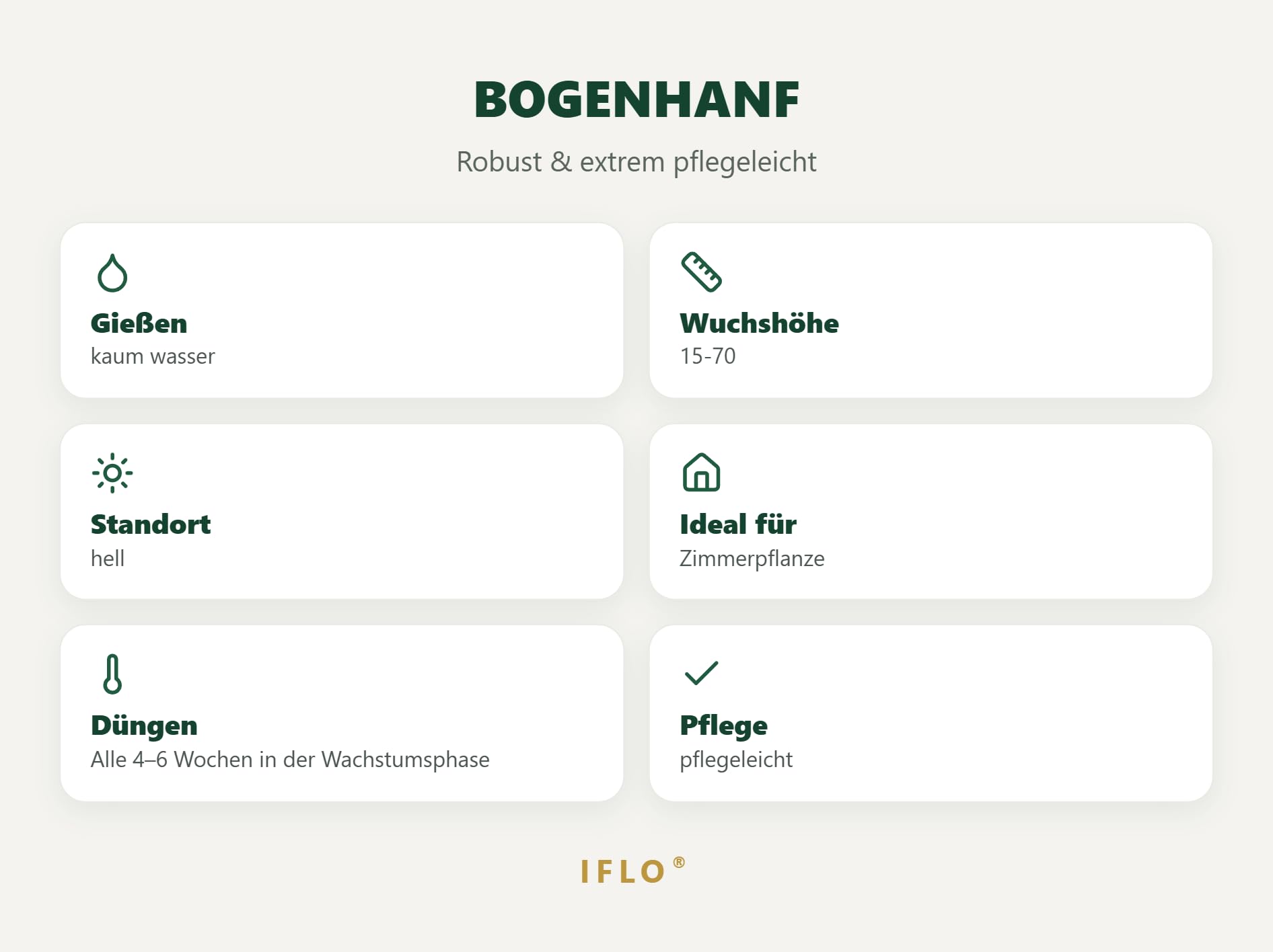 IFLO® Bogenhanf Sansevieria Laurentii 2er-Set – 50-65 cm, luftreinigende, pflegeleichte Zimmerpflanzen im Topf 17-19 cm