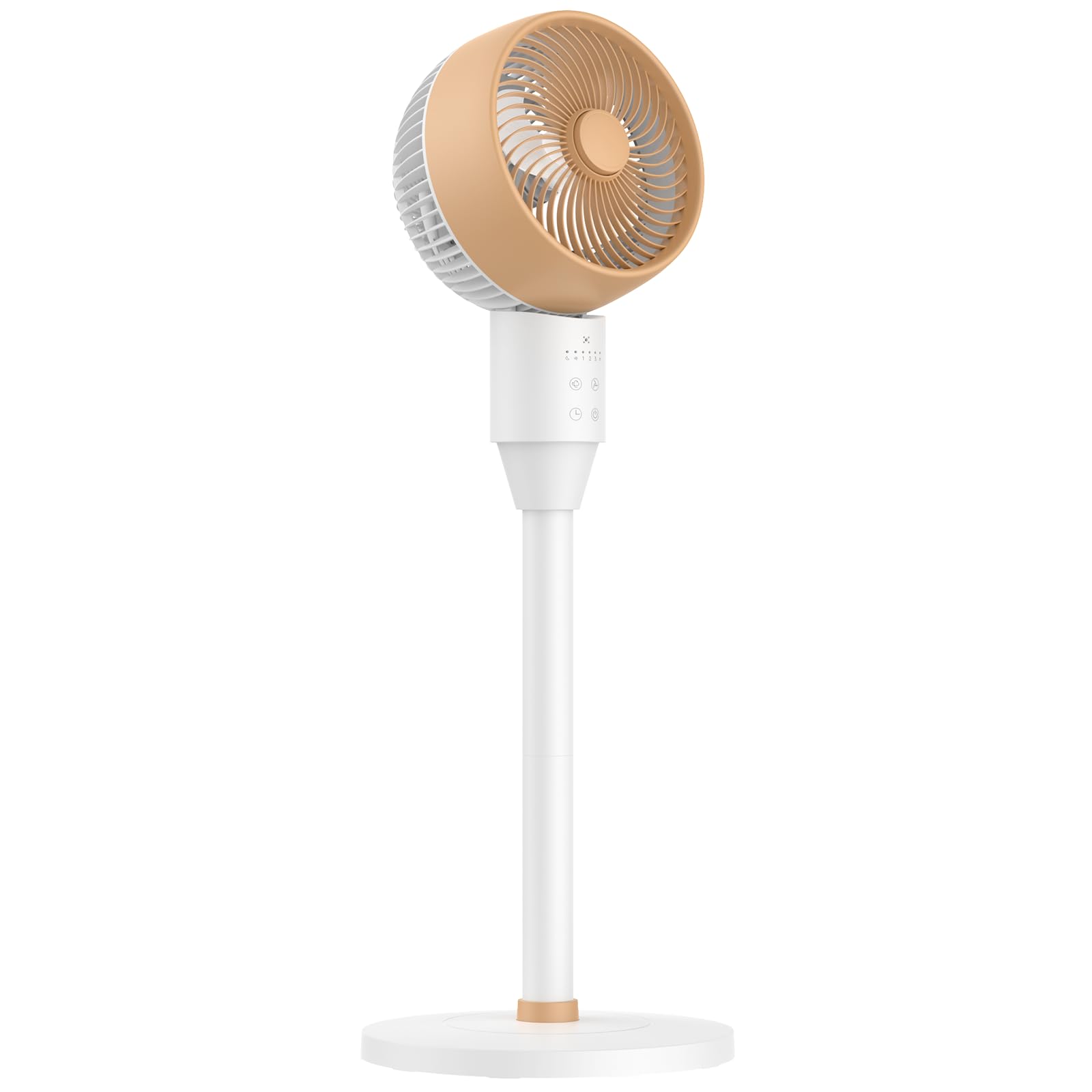 Amazon.co.jp: サーキュレーター 扇風機 兼用【2024新登場＆節電