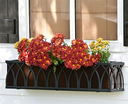 54 Inch Arch Window Box Cage with Bronze Tone Liner
