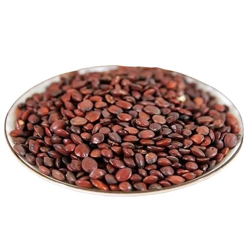 Zercumm Spina Date Seed 500G Particles Full Low Temperature Baking