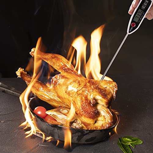 Lithos Digital Meat Food Thermometer - Accurate Instant Read For Cooking, Bbq, And Candy Battery Included #TOP4