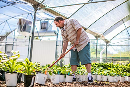 Dickies Men's Multi-Pack Dri-Tech 2.0 Moisture Control Heel-Lock Crew Socks, Black, Shoe Size: 6-123