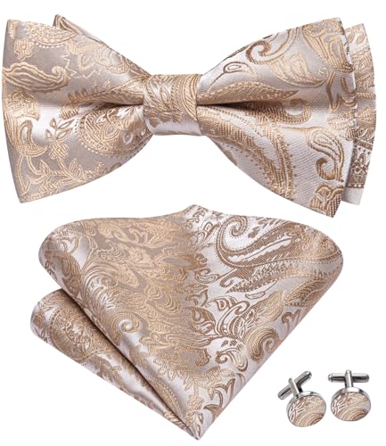Image of Dubulle Mens Paisley Striped Bowtie Set Pre-tied Bowtie for Men and Pocket Square Set Wedding Business