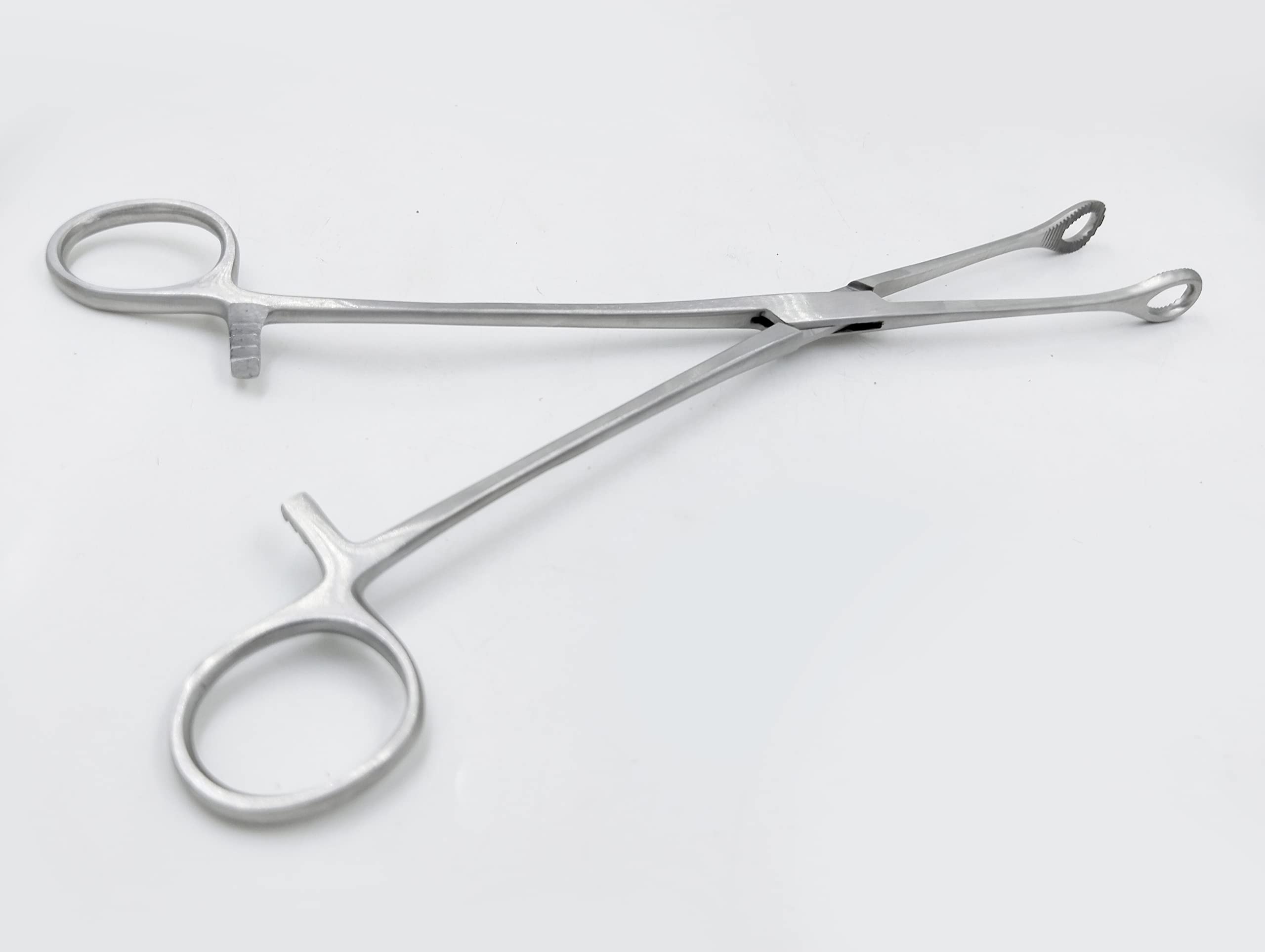 Sponge Holding Forceps 10 Inch | Stainless Steel Surgical Instrument | Medical Forceps for Sponge Holding | CE ISO Certified Durable Hemostat Clamp Tool