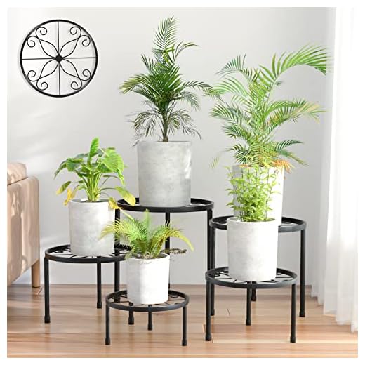 21 Stunning Coleus Planter Ideas to Transform Your Garden 4 Linpla 5-Pack Decent Metal Plant Stands, Heavy Duty Flower Pot Stands for Multiple Plant, Anti-Rust Iron Plant Pot Shelf, Decoration Racks for Home Indoor and Outdoor (5 Pack Black)