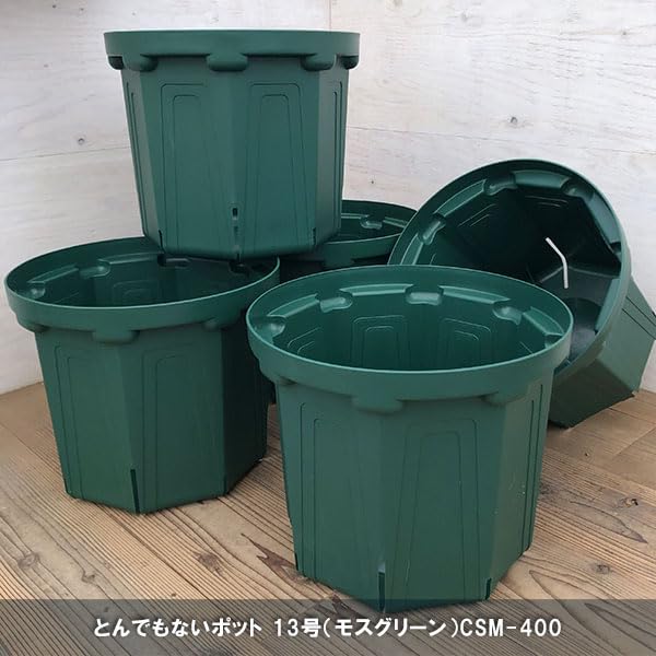 Amazon.co.jp: とんでもないポット：約13号CSM-400（モスグリーン