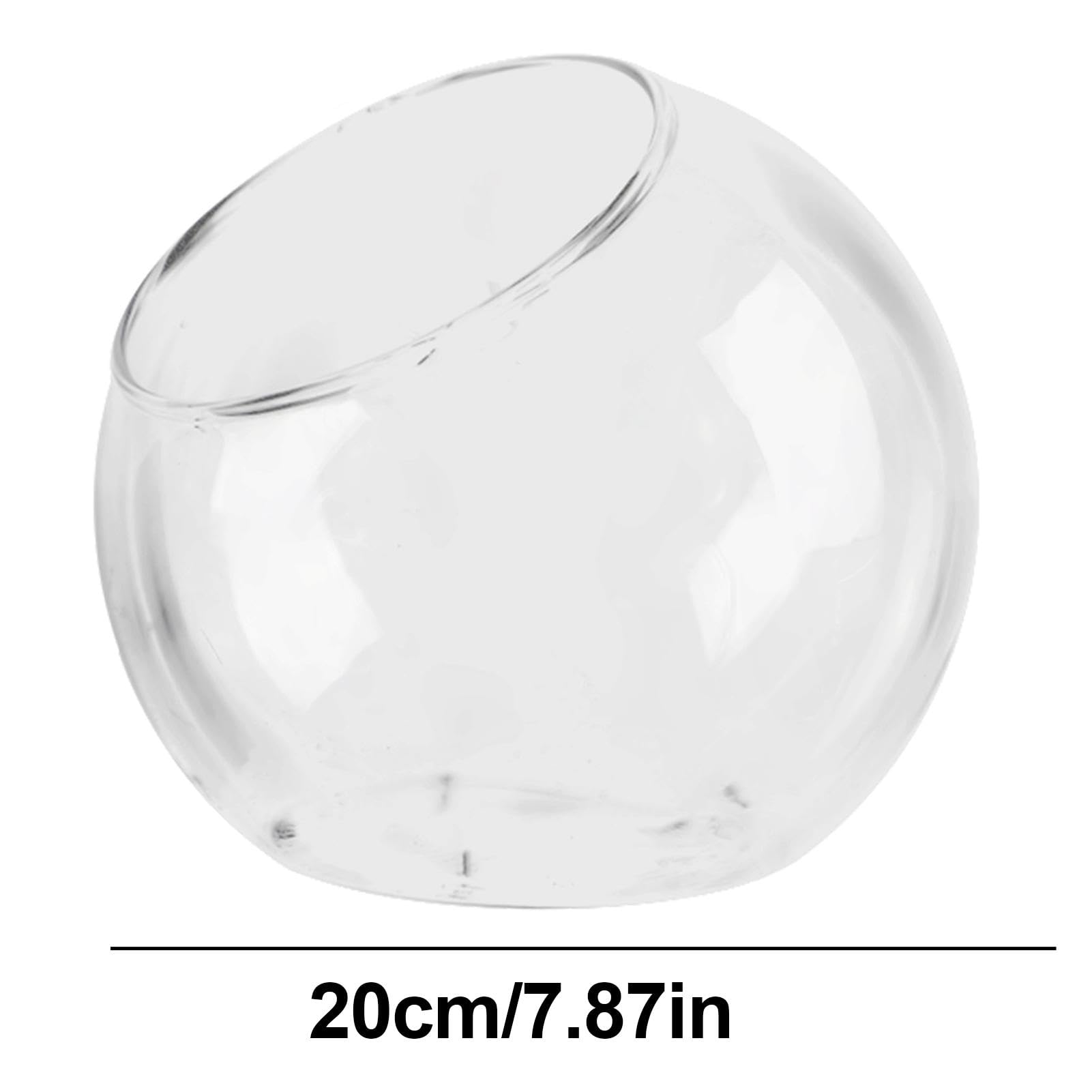 Vase rond en verre pour terrarium - vase en verre - Bouche inclinée - Décoration d'intérieur - Centre de table pour grasses et plus encore
