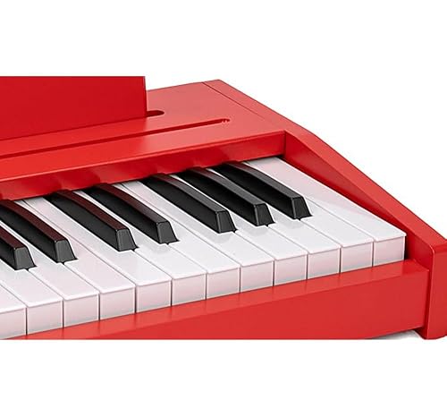 Amazon.com: JALOKEE Kids Piano Keyboard, Digital Piano for Kids