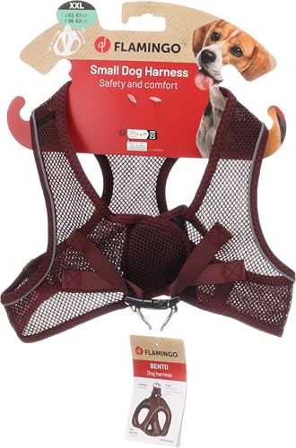 Flamingo Step-Go Bento Harness, Aubergine, XXL (A:52-57 cm, B:56-62 cm, 3 mm), Comfortable and Adjustable - Image 3