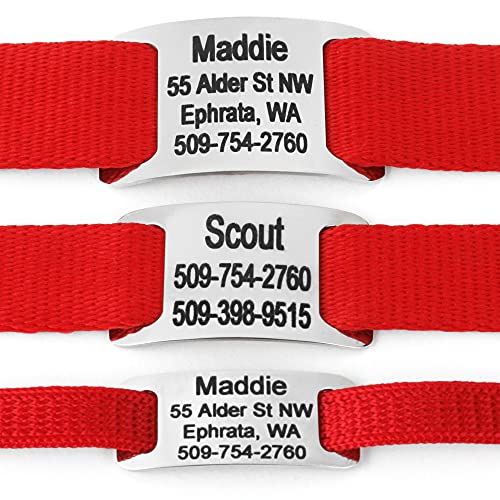 Gotags Slide-On Pet Id Tags, Curved Personalized Dog And Cat Tags, Silent, No Noise Collar Tags Made Of Stainless Steel, Custom Engraved, (Solid For Belt Buckle Collars) #TOP4
