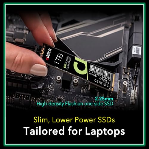 SSD interne S93 PCIe 4.0 NVMe M.2 2280 de 1 To avec cache SLC