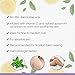 Satin Smooth Citrus Mojito Thin Film Hard Wax - Hair Removal Wax, No Strip Waxing for Sensitive Skin, Ideal for Fine to Medium Hair, 14oz.