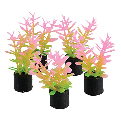 Underwater Treasures Mini Plant - Pink and Green - 1.5