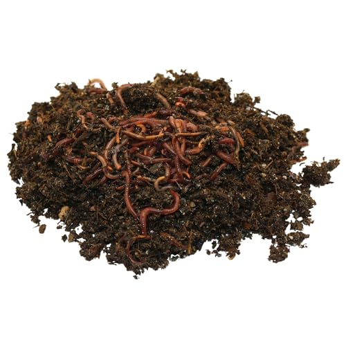 Environet Premium Redworms, Red Wiggler for Eco-Friendly Gardening and Composting, 50 Count